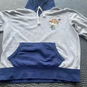 Polo Ralph Lauren Polo Football Bear Hoodie Size Large Color Blue/Gray